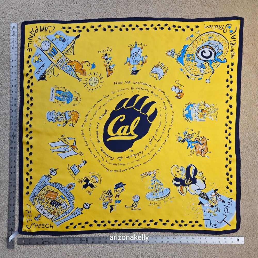 RARE UC Berkeley 100% Silk Scarf Hand-Rolled Aksesaré 2004 Collectible - Picture 4 of 12